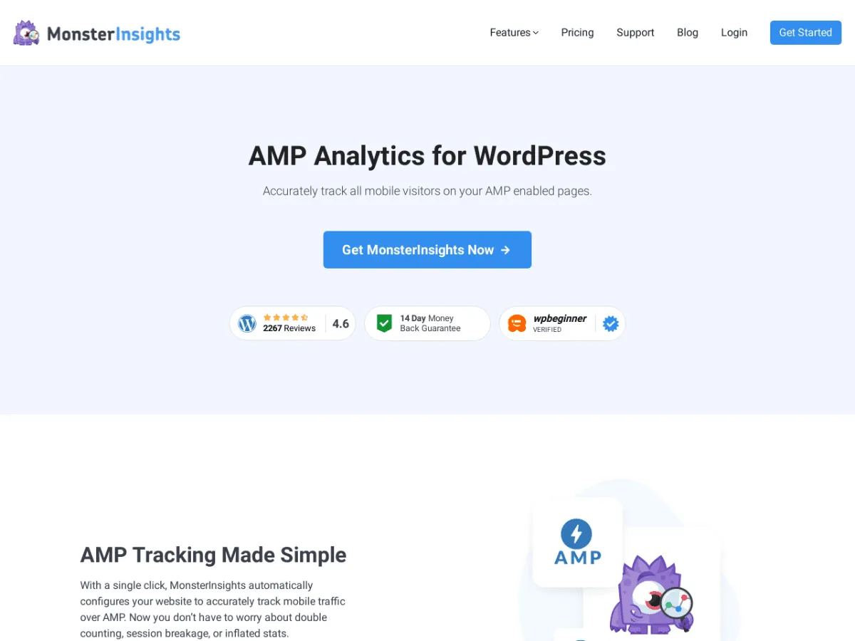 MonsterInsights AMP Page Insights Addon